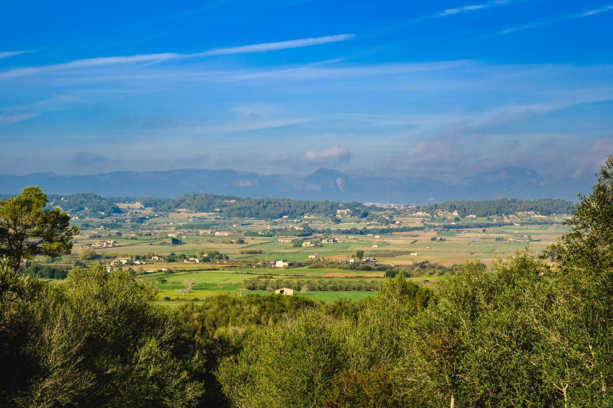Finca Sa Bastida Luxury Retreat & Spa Adults Only Sant Joan Bagian luar foto
