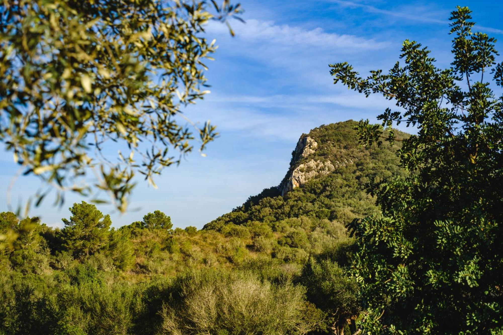 Finca Sa Bastida Luxury Retreat & Spa Adults Only Sant Joan Bagian luar foto