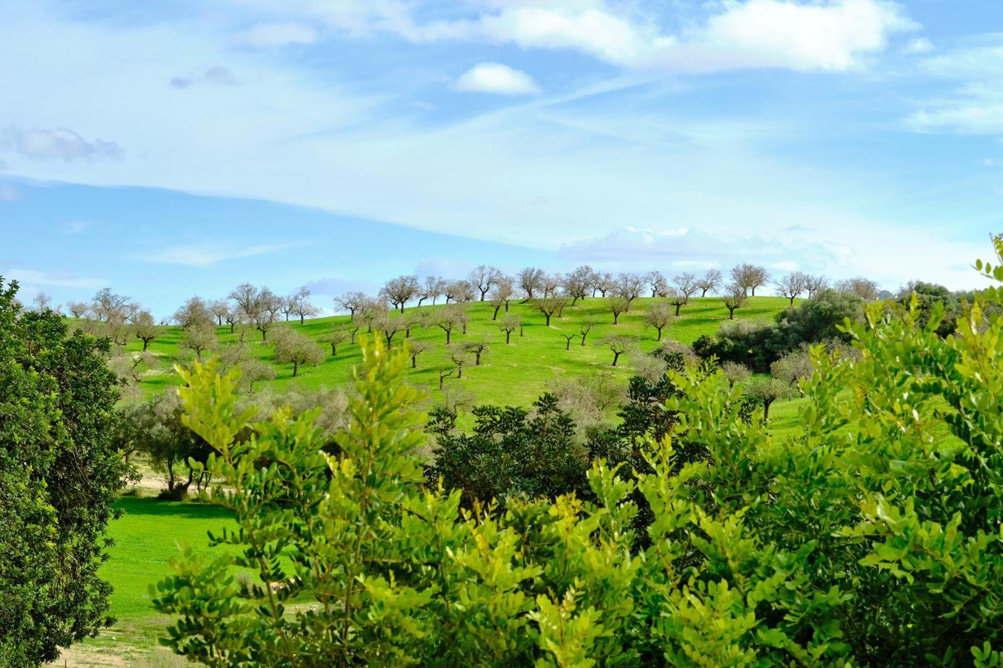 Finca Sa Bastida Luxury Retreat & Spa Adults Only Sant Joan Bagian luar foto