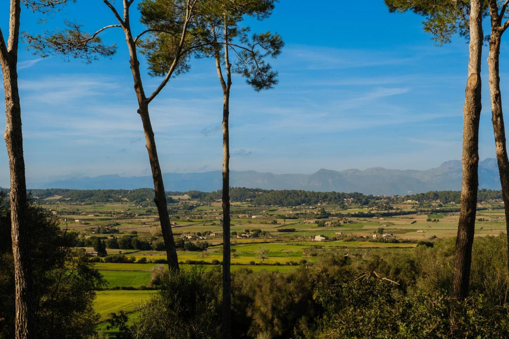 Finca Sa Bastida Luxury Retreat & Spa Adults Only Sant Joan Bagian luar foto